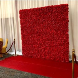 Red Flower Wall